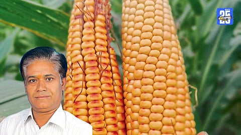 Red Corn