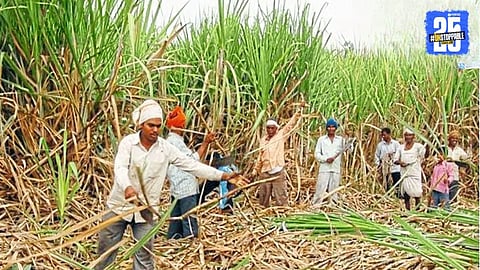 Agricultural News
