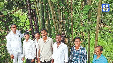 Farmers