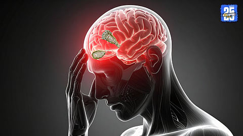 Kerala Reports Brain Eating Amoeba Outbreak Public Health Department on Alert