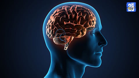 Acute Encephalitis Syndrome