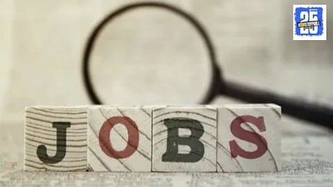 Government Job