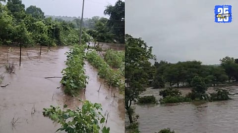 Heavy Rain