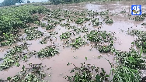 Agriculture loss