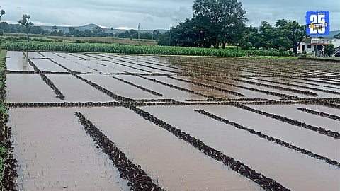 Monsoon