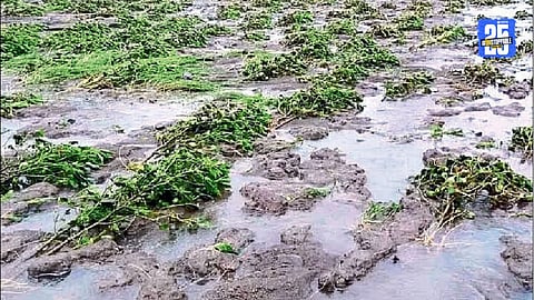 Akola Flood