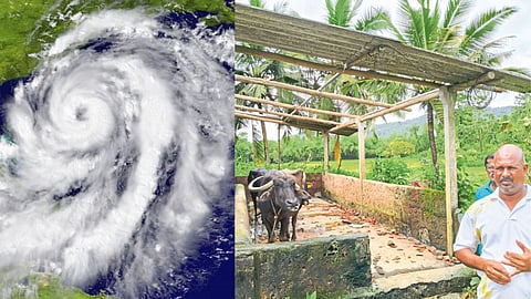 Severe Cyclone