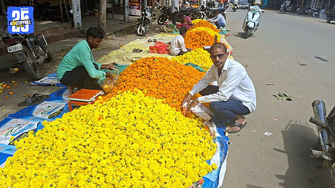 zendu flower