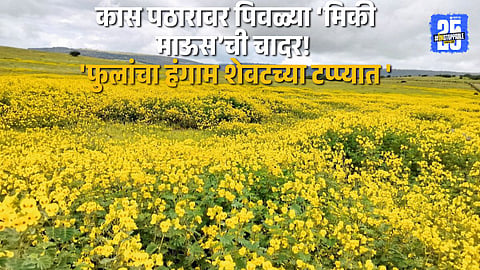 Satara Kas Pathar