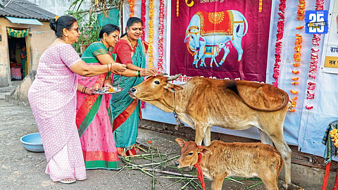 Vasubaras
