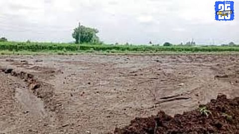 Revenue officials to visit Solapur farmlands after Diwali for crop damage and soil erosion assessment.