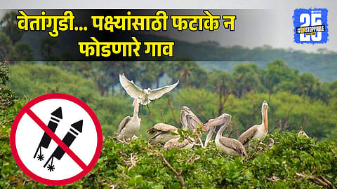 Vettangudi Villagers Celebrate Cracker-Free Diwali for Birds