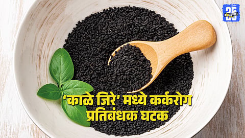 black cumin cancer,
