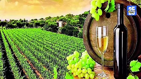 Wine Production