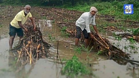 Crop Damage