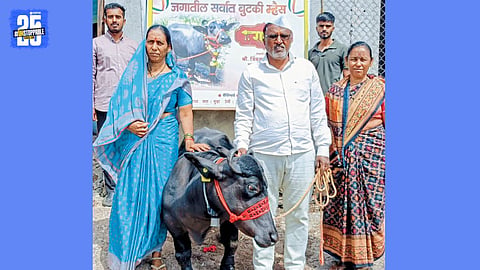 Radha Buffalo