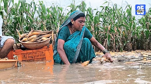 Agriculture Loss