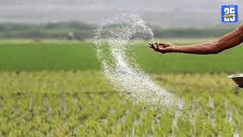 Fertilizer Price