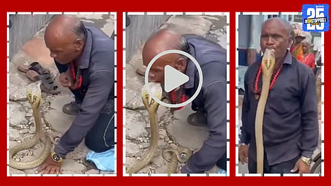 A viral video shows a man fearlessly kissing a live cobra snake, leaving viewers stunned and authorities alarmed.