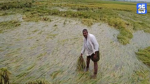 Farmer