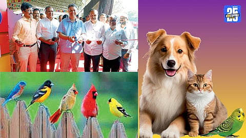 Sakal Petopia