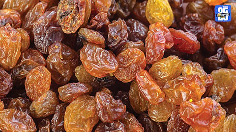 Raisin Industry 