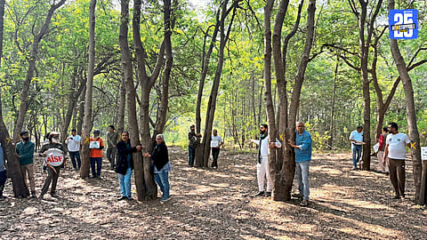 Tree Cutting
