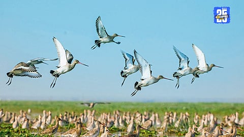 Odisha Tourism