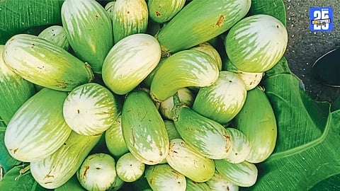 Brinjal Price Hike