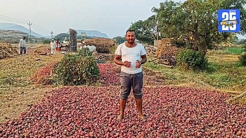 Onion Crop Damage