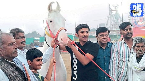 Horse Market