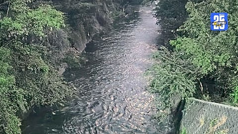 Jayakwadi Dam