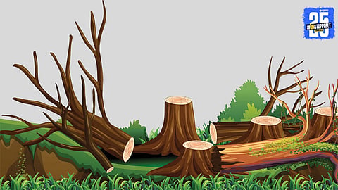 environment