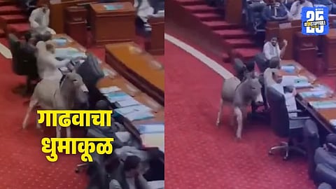 Pakistan Parliament