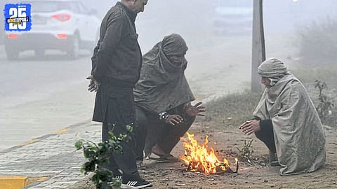 nagpur cold