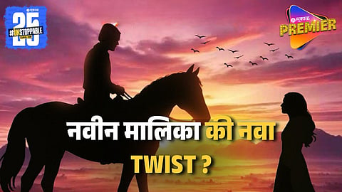 Zee Marathi New Poster Went Viral 
