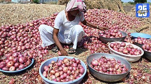 onion