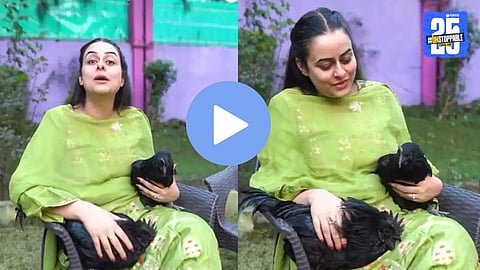 Chandrikas Kadaknath Chicken Video