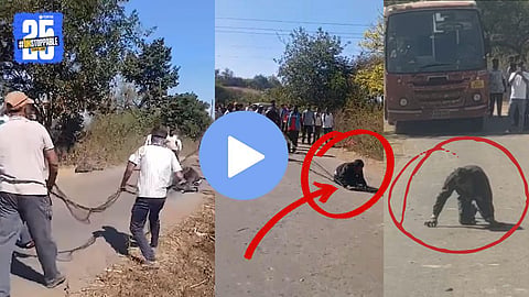 Satara Viral Video