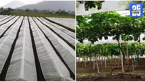 Agriculture