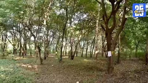 Tapovan