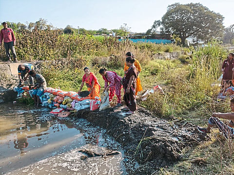 दातेवाडी येथे वनराई बंधारा