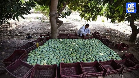UP Rural Tourism