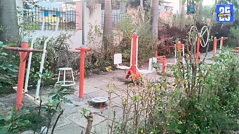 Public Parks Turning