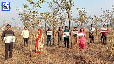 Tree Hugging Protest