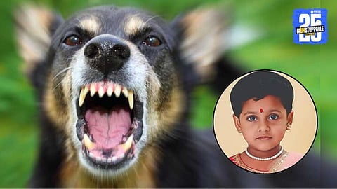 Stray Dog Attack on child girl in diva city 