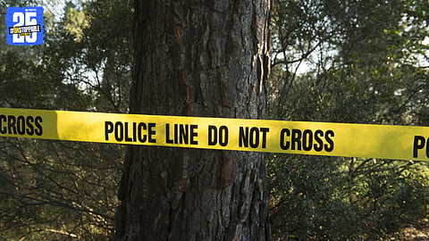 Lack of forest custody hampers 