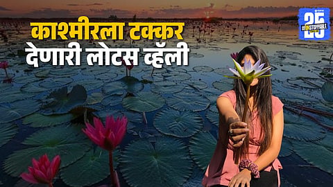 lotus valley indore travel