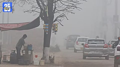 Chandigarh cold