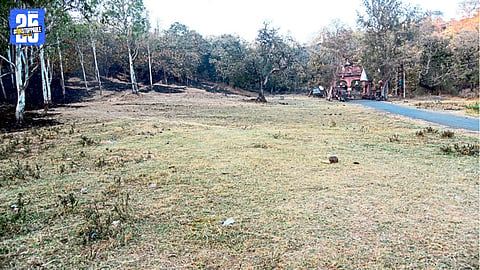 Kalbhairav Hill showing reduced green cover due to tree cutting and neglect.